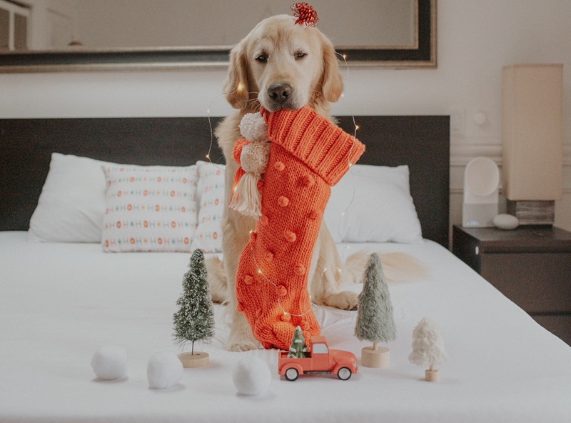 The Original PeachSkinSheets® Sheet Set